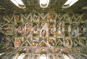 Michelangelo Buonarroti the sistine chapel ceiling
